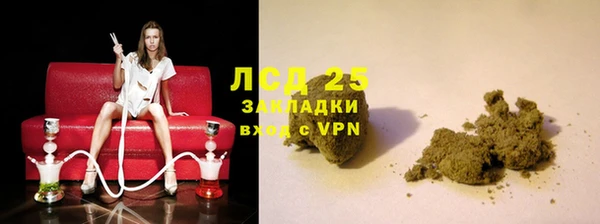 ГАЛЛЮЦИНОГЕННЫЕ ГРИБЫ Алзамай