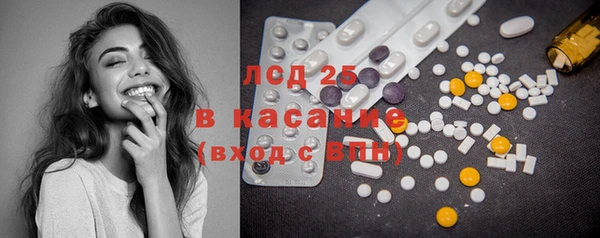 ГАЛЛЮЦИНОГЕННЫЕ ГРИБЫ Алзамай