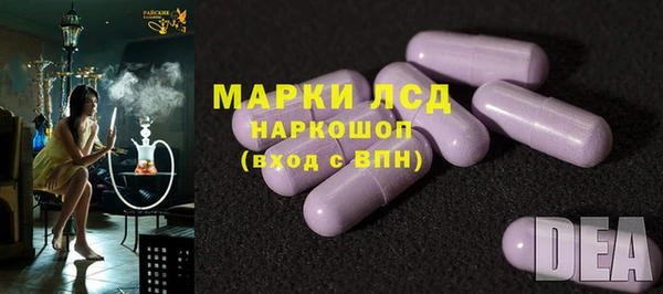 ГАЛЛЮЦИНОГЕННЫЕ ГРИБЫ Алзамай