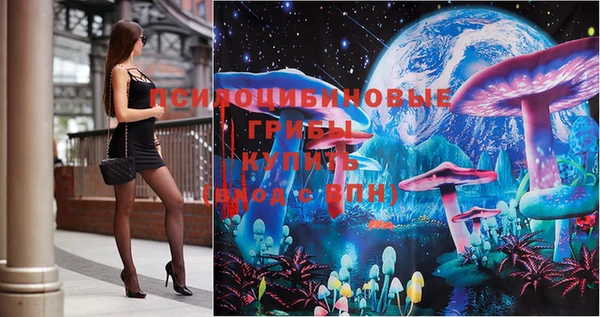 ГАЛЛЮЦИНОГЕННЫЕ ГРИБЫ Алзамай