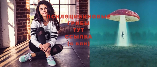 ГАЛЛЮЦИНОГЕННЫЕ ГРИБЫ Алзамай